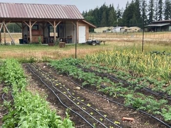 SisterLand Farms